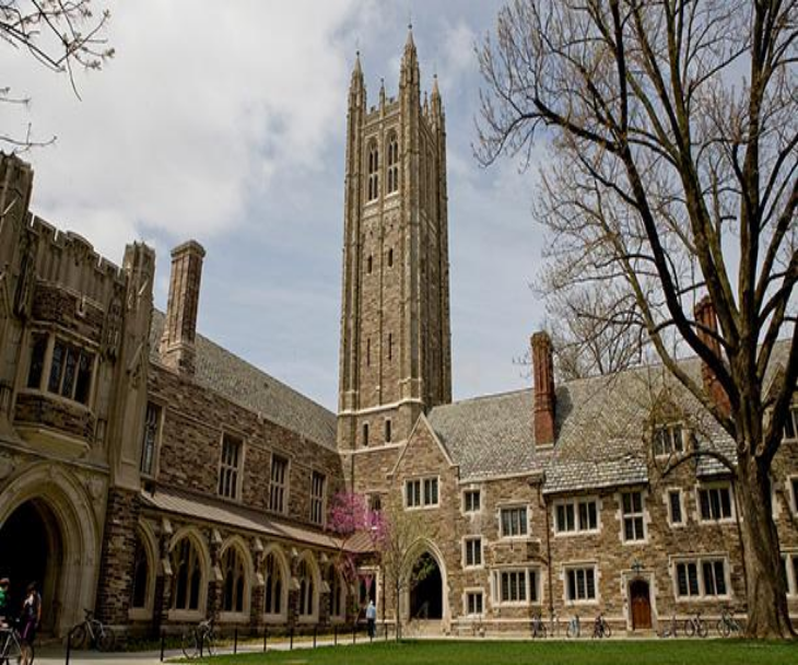 princeton university